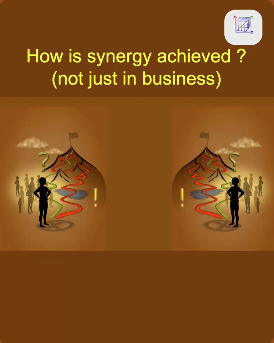 How to reach synergy - Not In business Only
